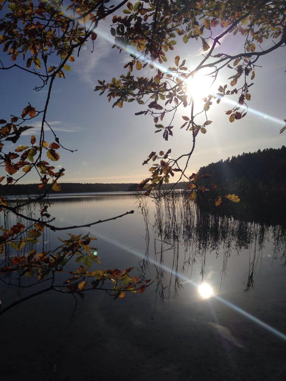 Natural landscape
