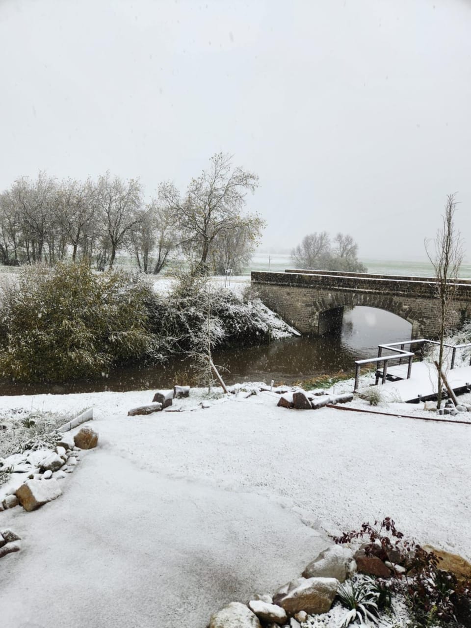 Natural landscape, Garden, River view