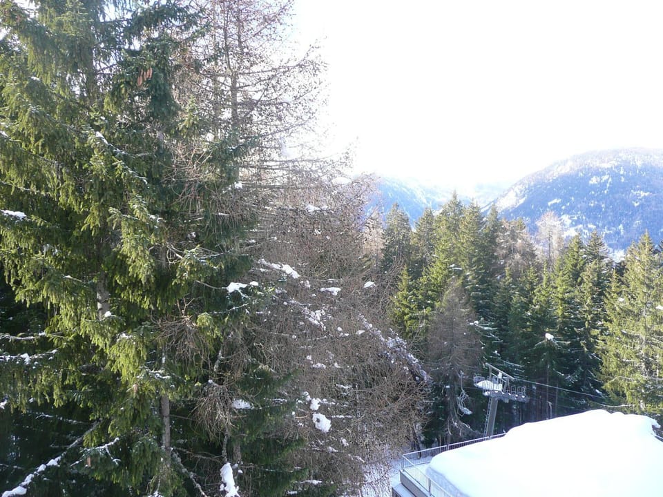 Natural landscape, Winter
