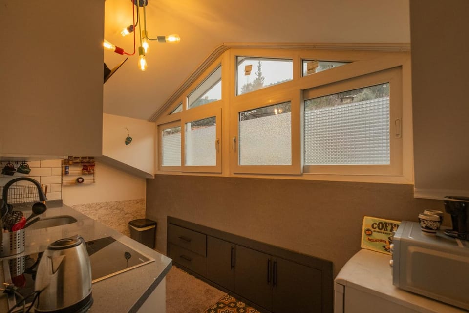 Kitchen or kitchenette, kitchen