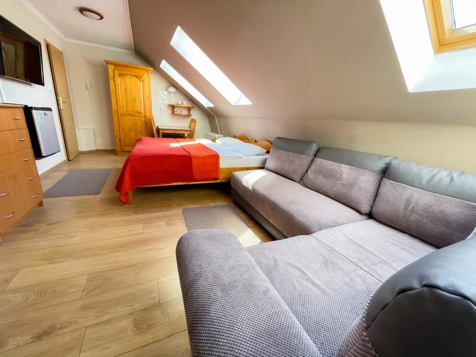 Bed, Living room, Photo of the whole room, Seating area, Bedroom