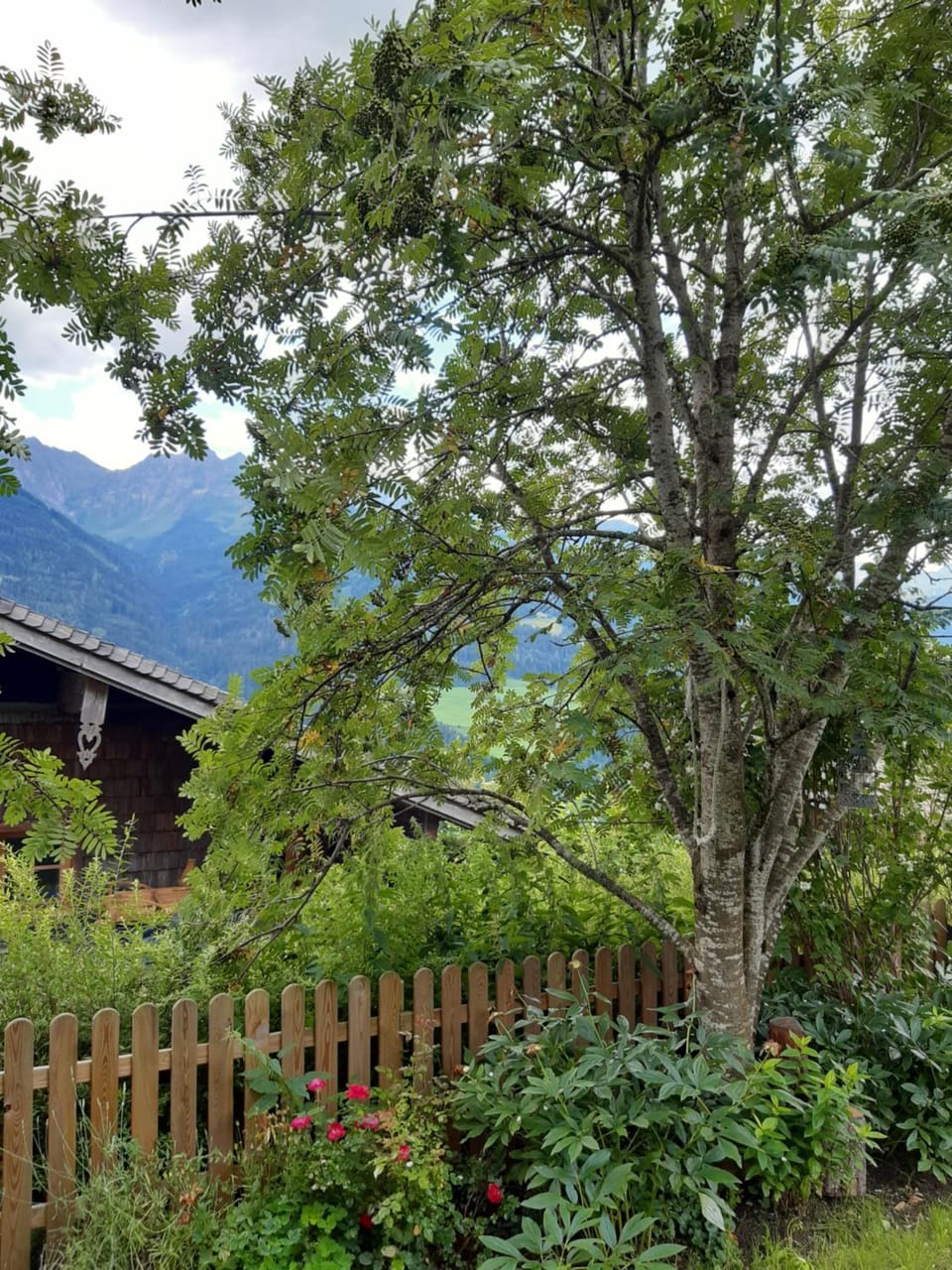 View (from property/room)