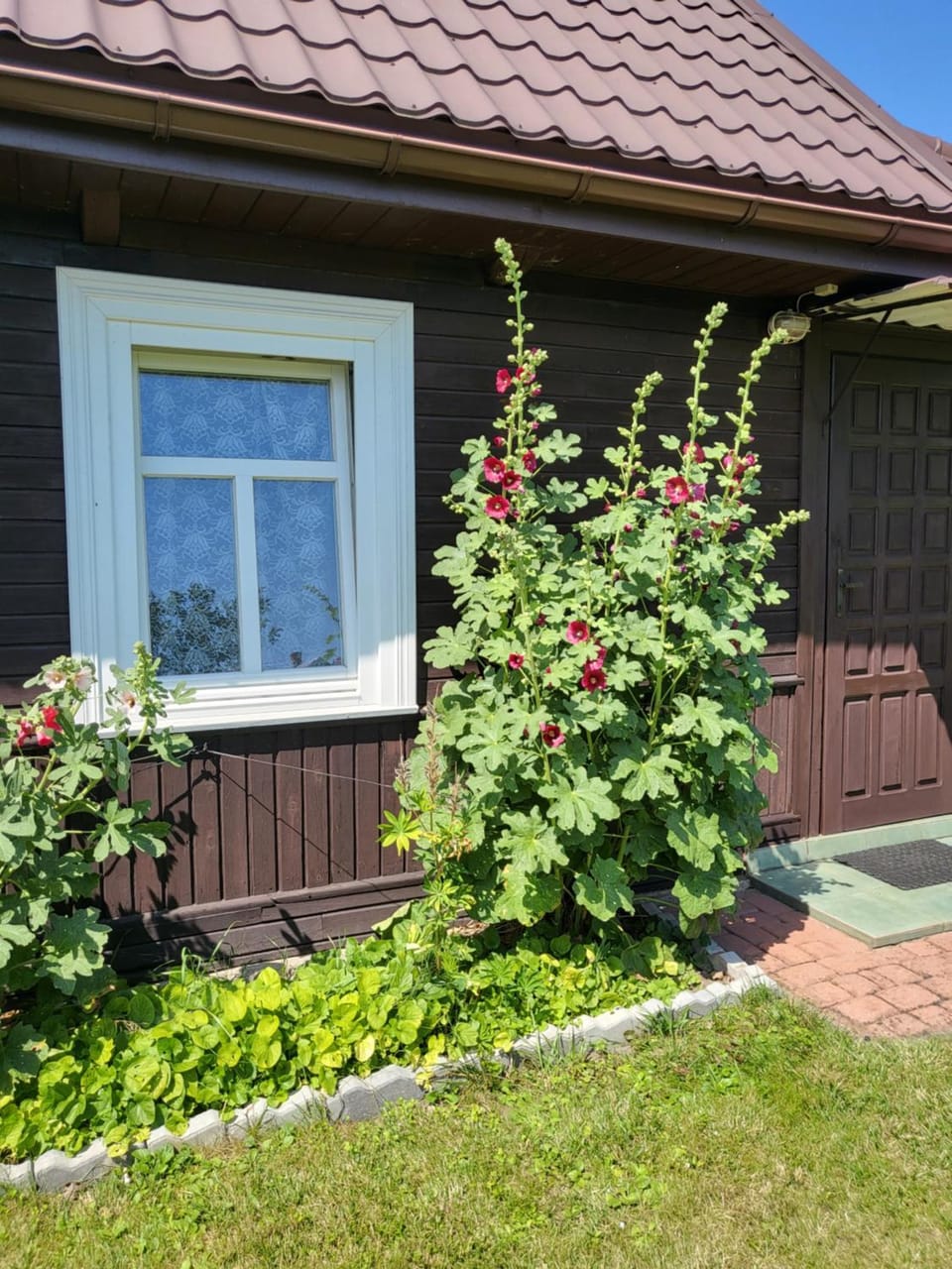 Białowieża 131 House in Belarus