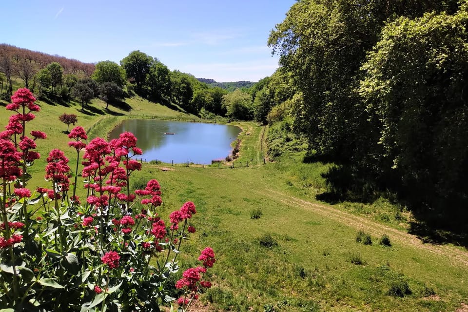Garden, Lake view