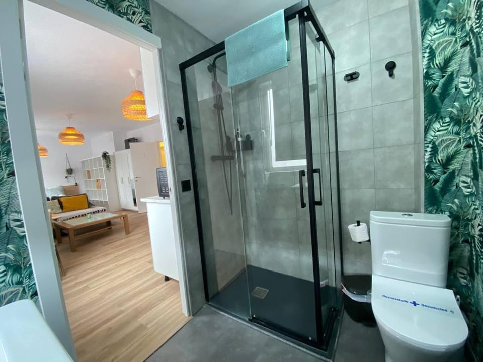 Shower, Toilet, Bed, Bathroom, TV and multimedia, Photo of the whole room, Bedroom, heating, internet, towels, wardrobe, kitchen, air conditioner