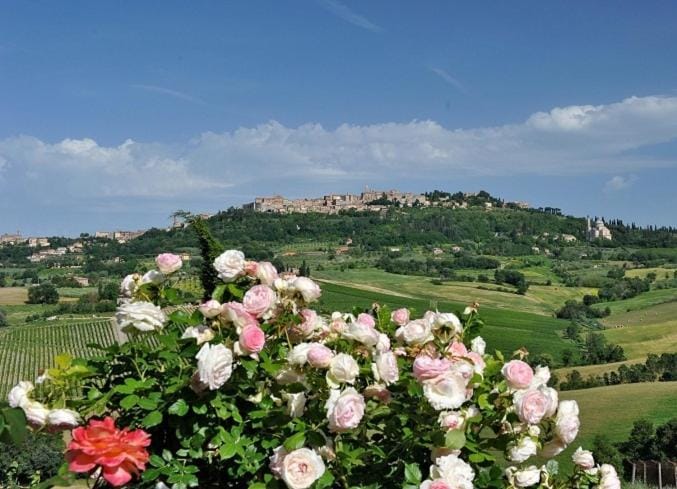 Natural landscape