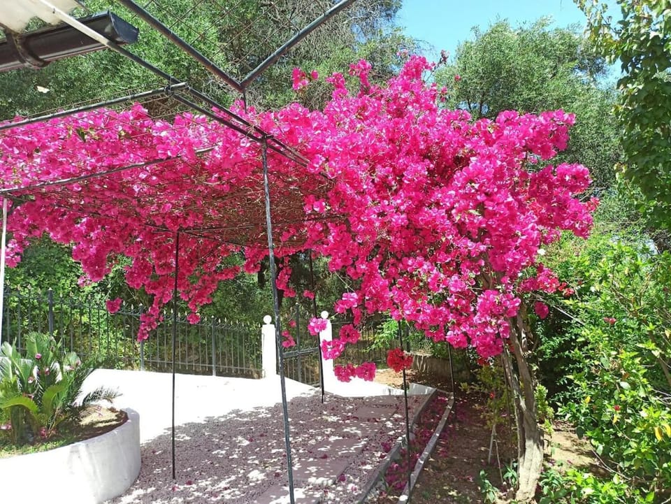 Seaview Mini Villa with Private Pool - 200 metres from the beach Villa in Corfu, Greece