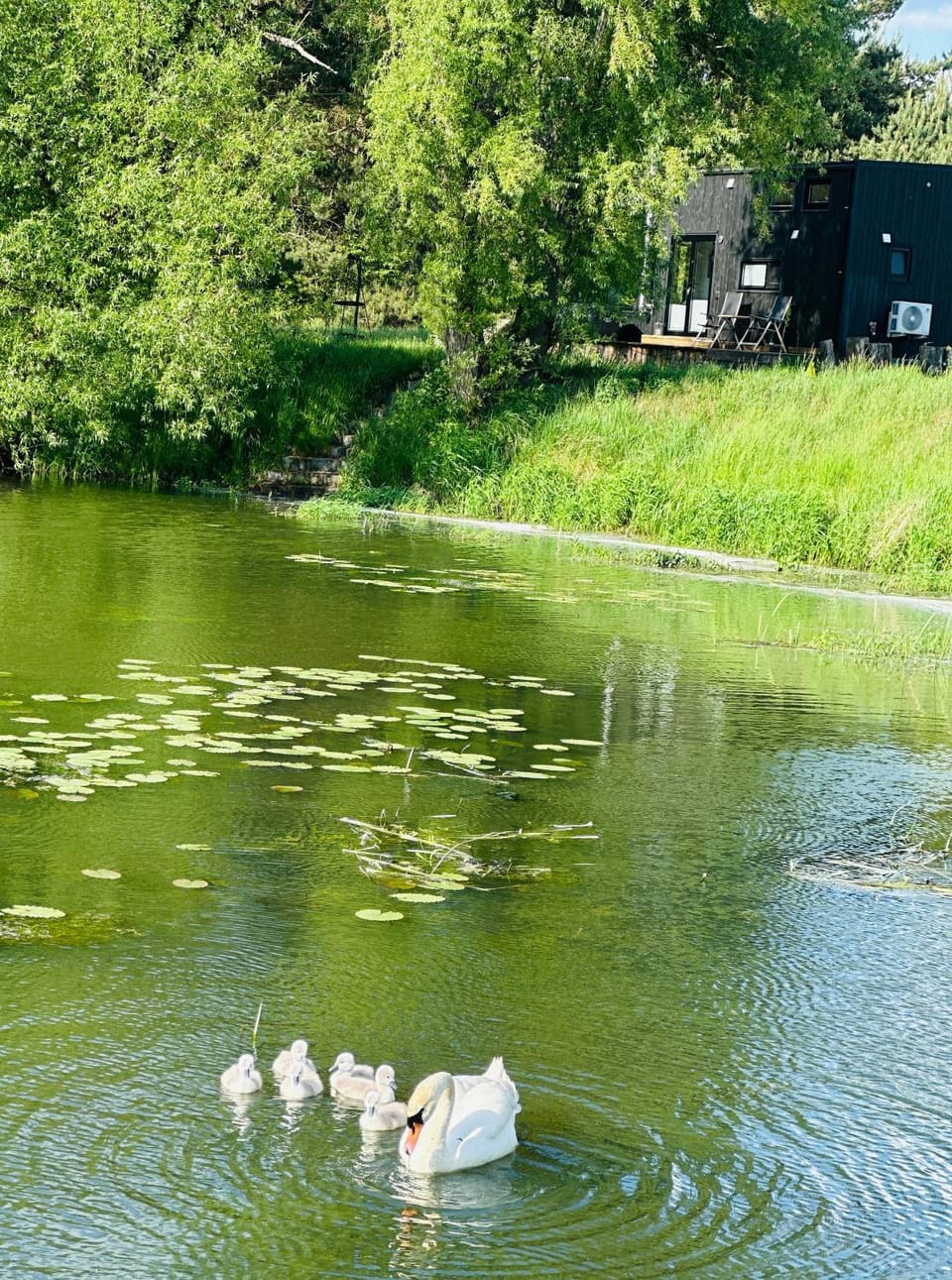 Spring, Fishing, Fishing, View (from property/room), Garden view, Garden view, Lake view, Lake view, Landmark view, River view, River view