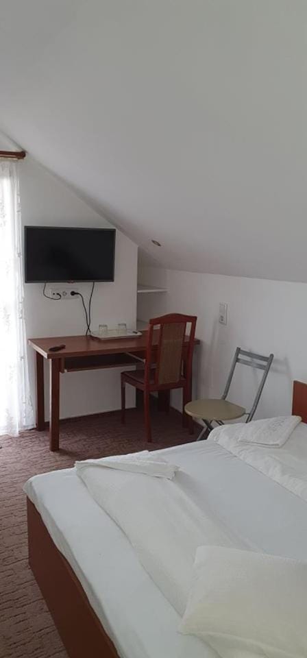 CASA ICA Vacation rental in Hungary
