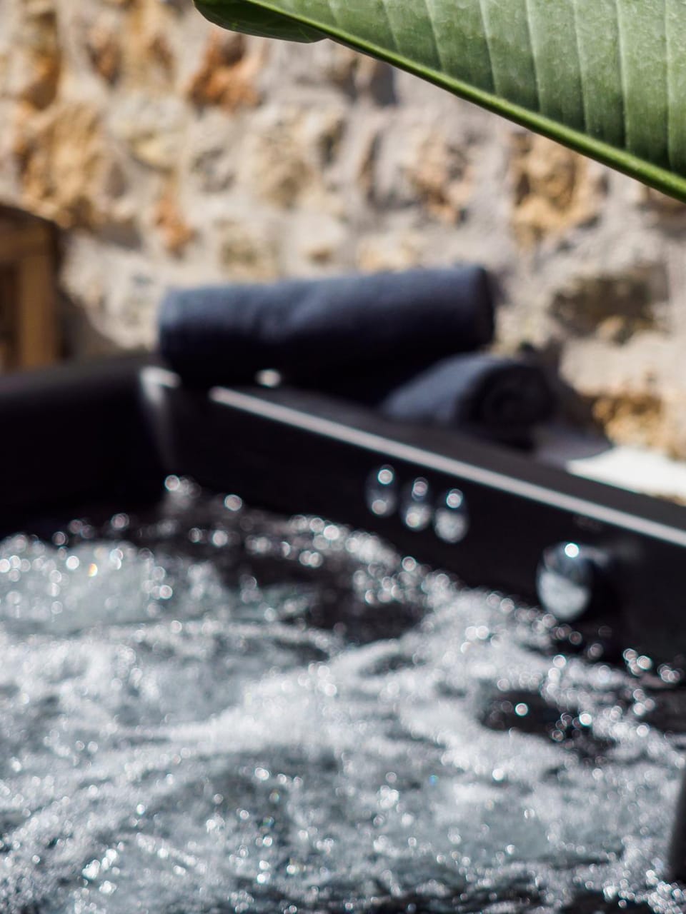 Hot Tub, Spa and wellness centre/facilities