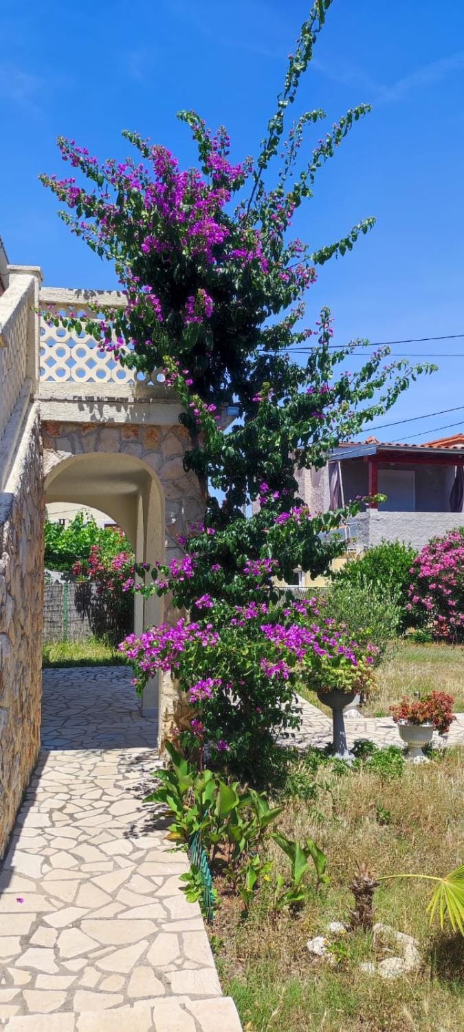 Property building, Garden view