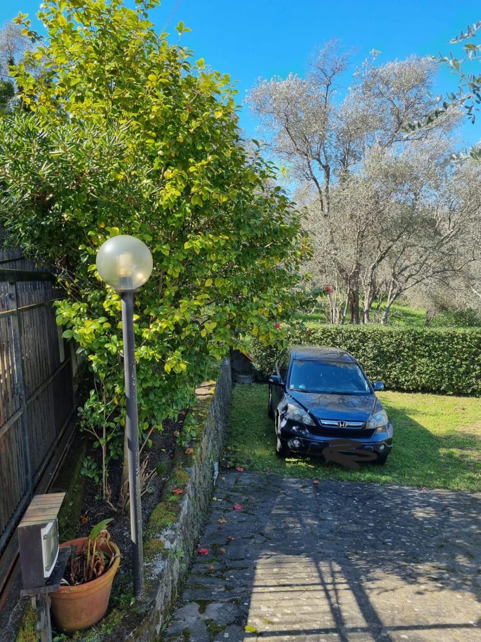 Garden, Garden view, Parking