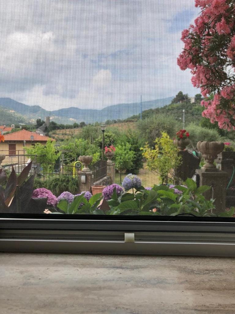 Garden view, Mountain view, Mountain view