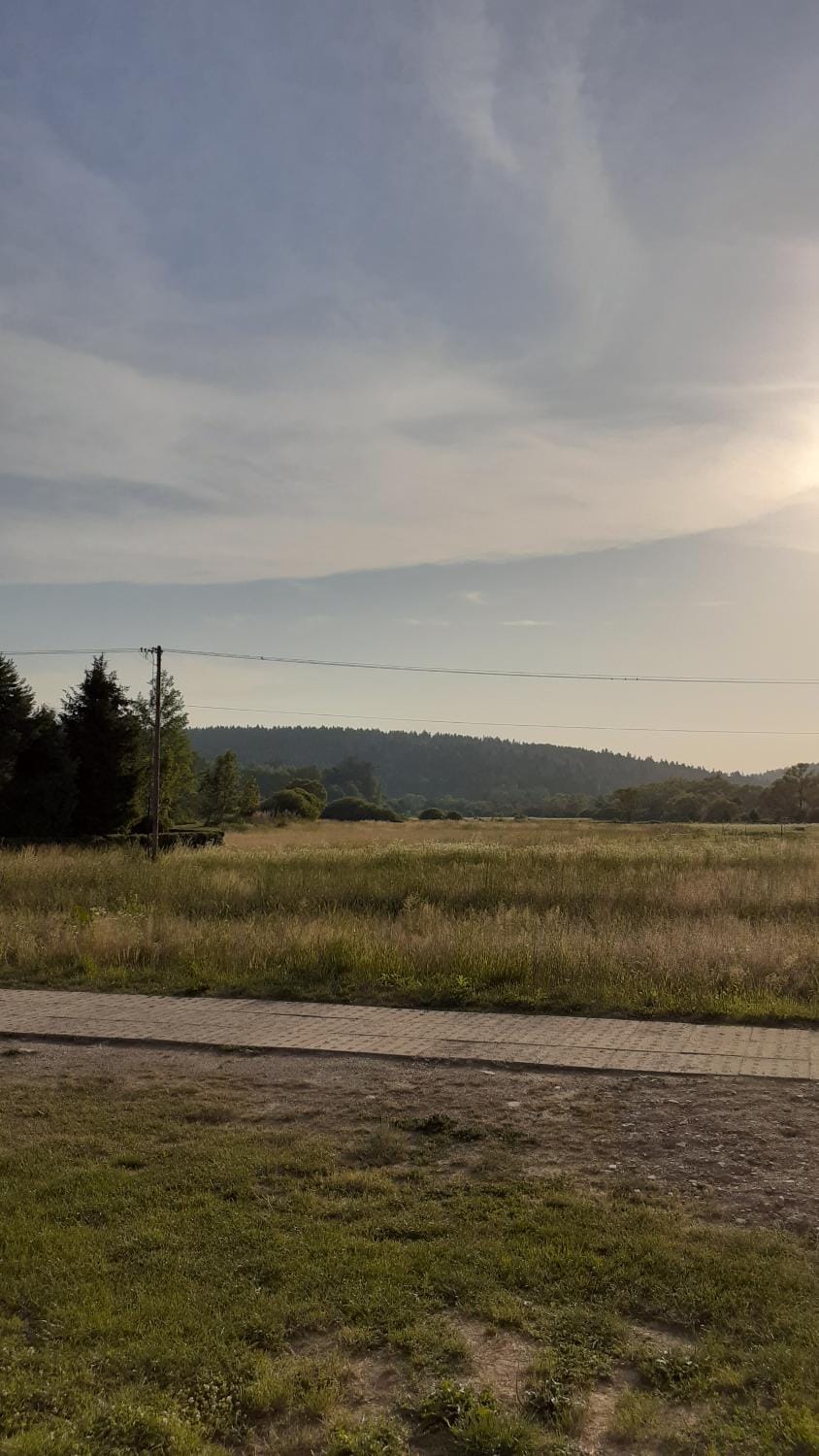 Natural landscape