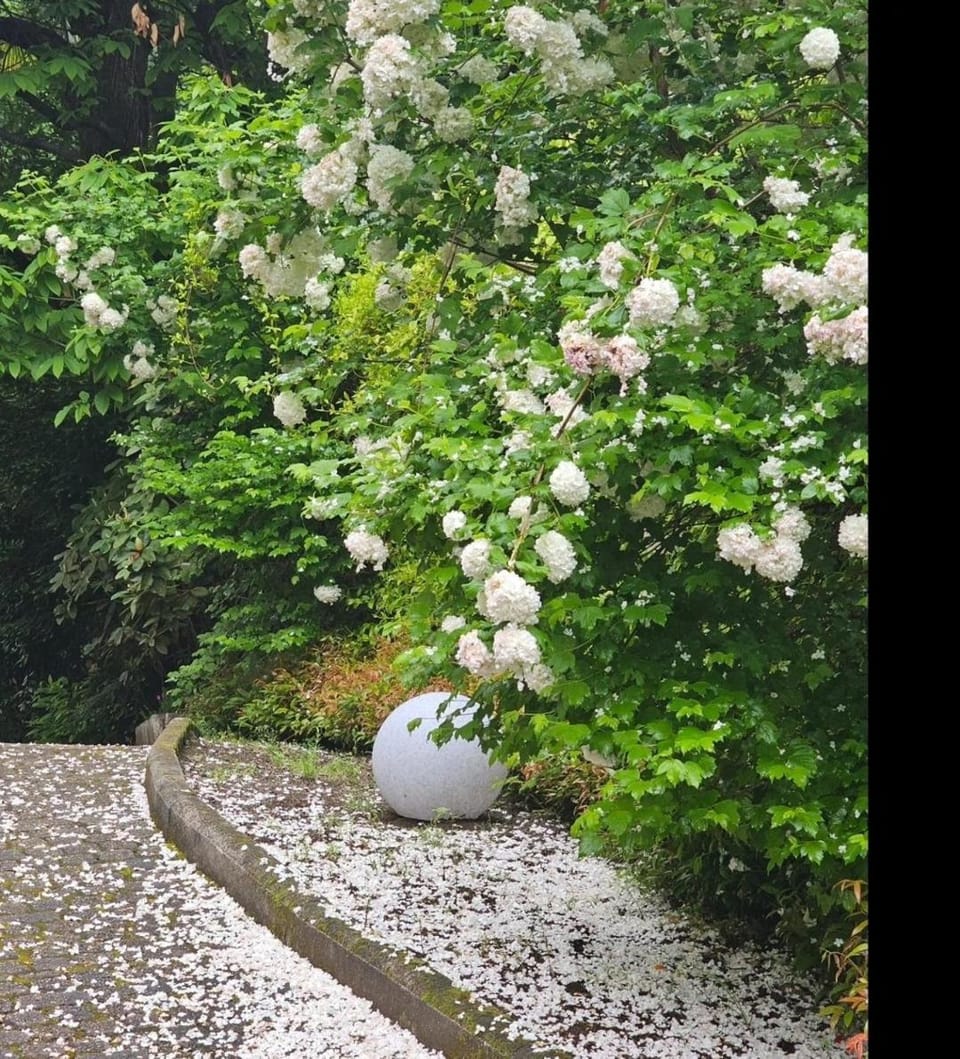 The Ortensia, our Room with Lake View, Spacious Park-Facing Balcony and Private External Bathroom at the Villa Isabella Stresa Bed and Breakfast in Stresa