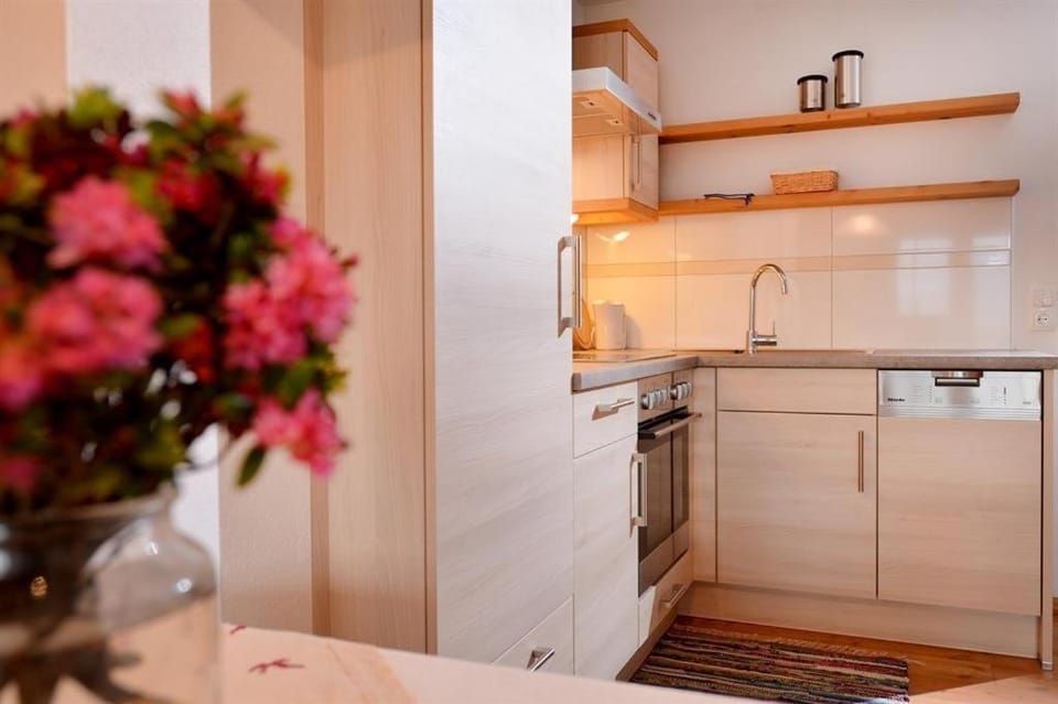 Kitchen or kitchenette, dishwasher, stove