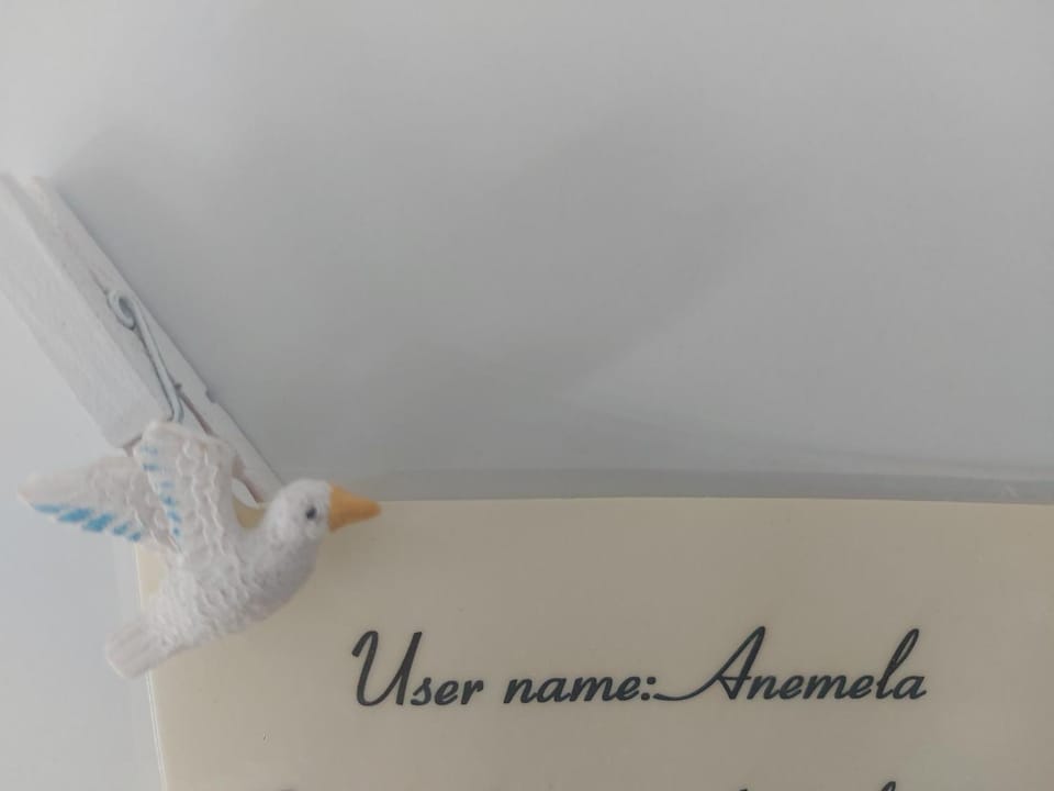 Anemela studio lux Apartment in Naxos