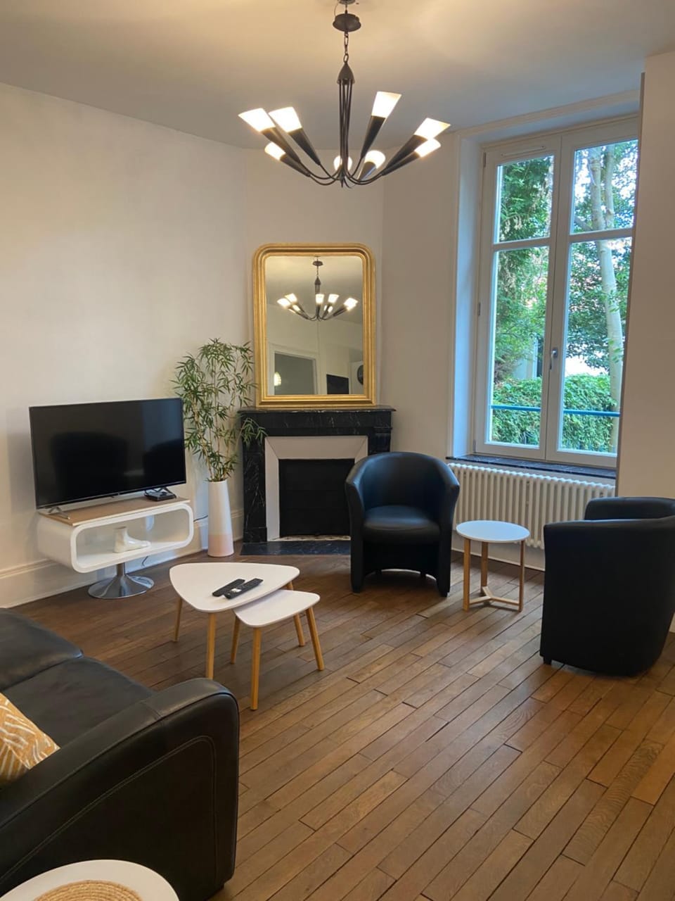 Pasteur T3 de charme Artem parc Ste Marie Apartment in Nancy