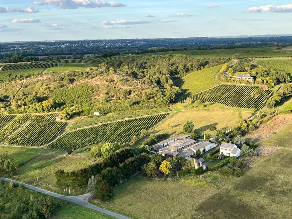 Maison des Coteaux blancs Villa in Pays de la Loire
