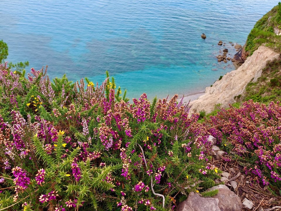 Natural landscape