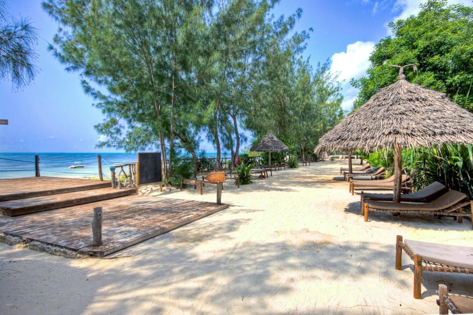 Beach, Area and facilities