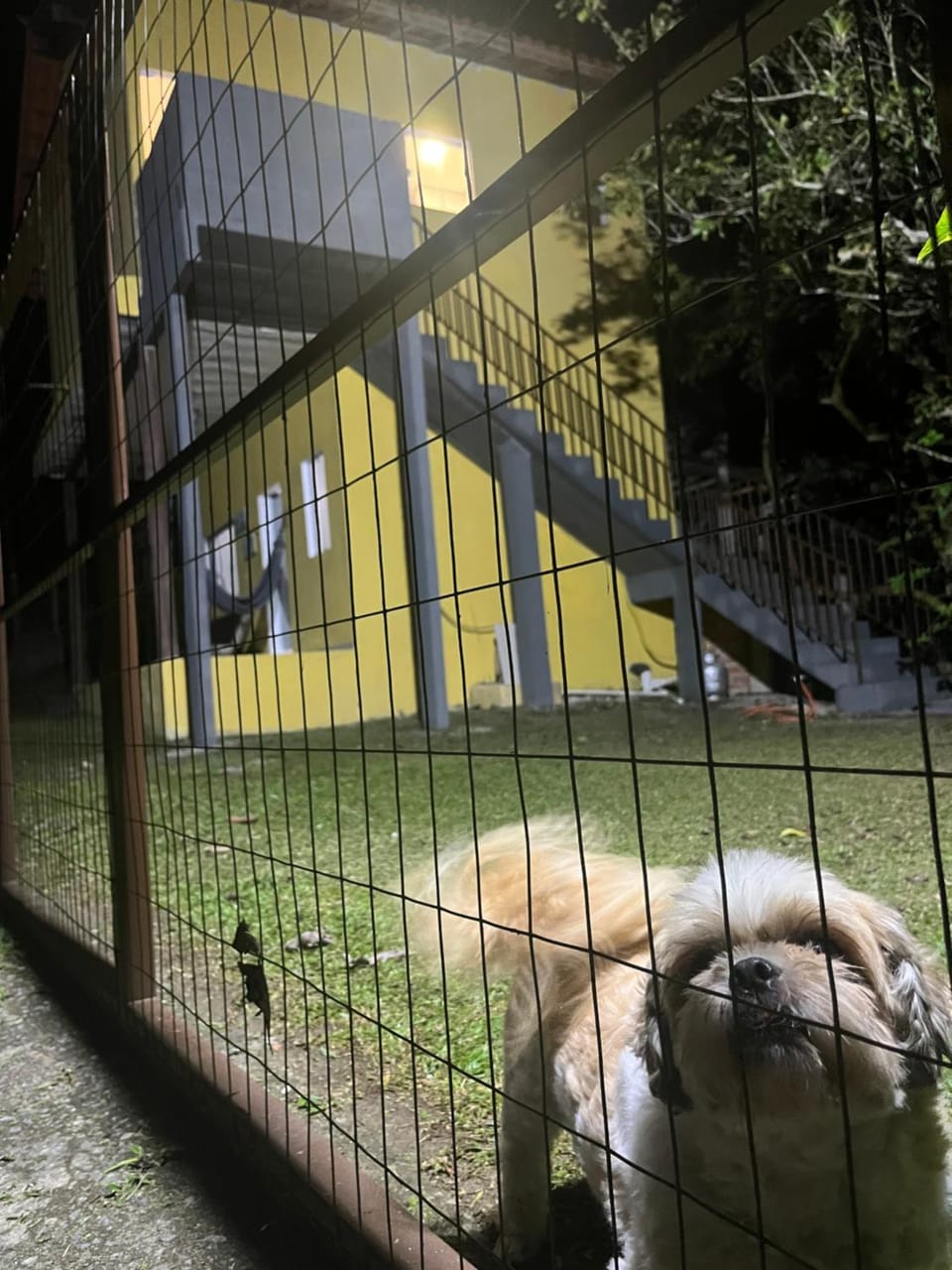 Pets, Parking, pet friendly