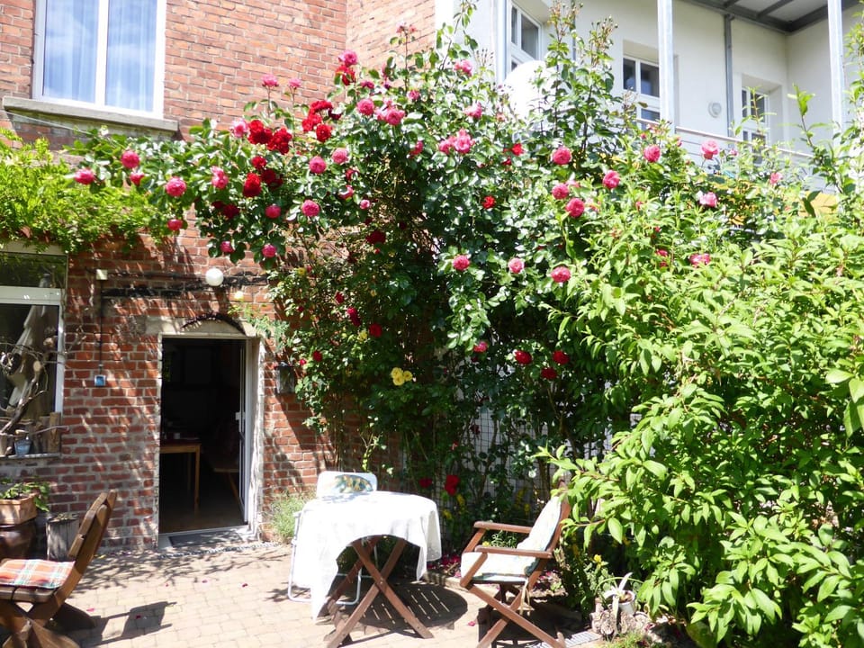 Property building, Patio, Spring, Garden, Garden view