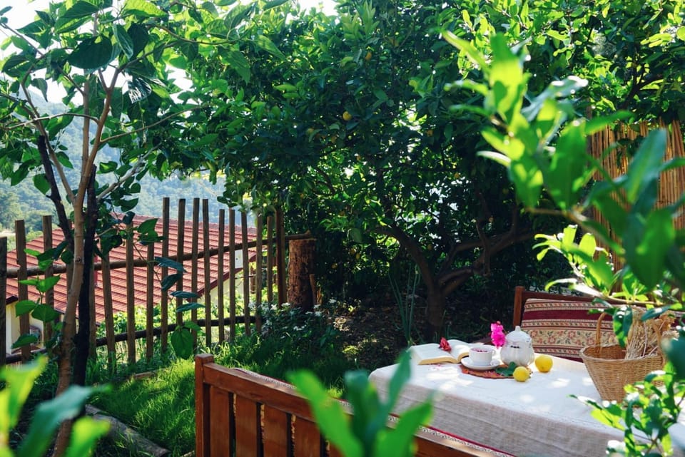 Geniş Bahçeli Barbekülü Kır Evi KOZALAK EVLERİ House in Muğla Province