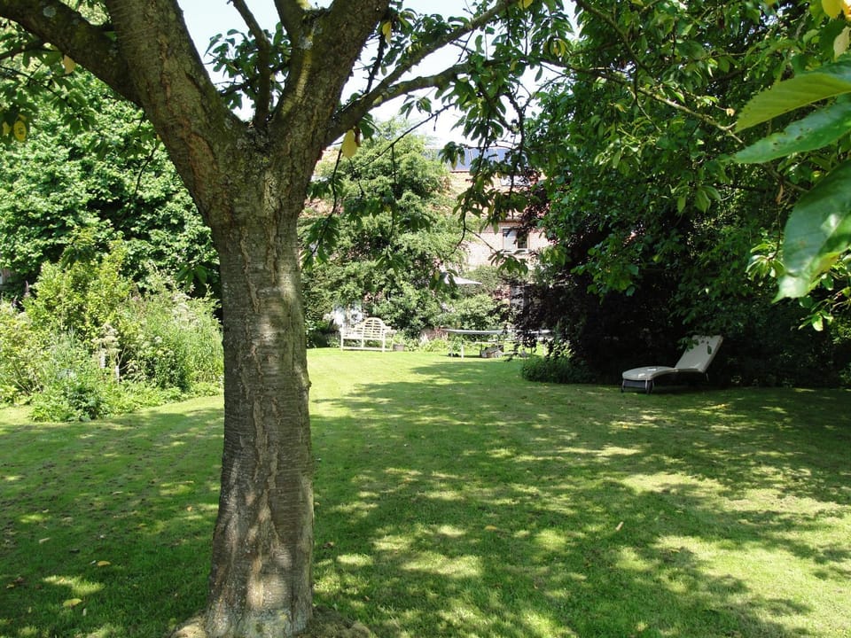 Summer, Garden, Area and facilities, Swimming pool, Swimming pool
