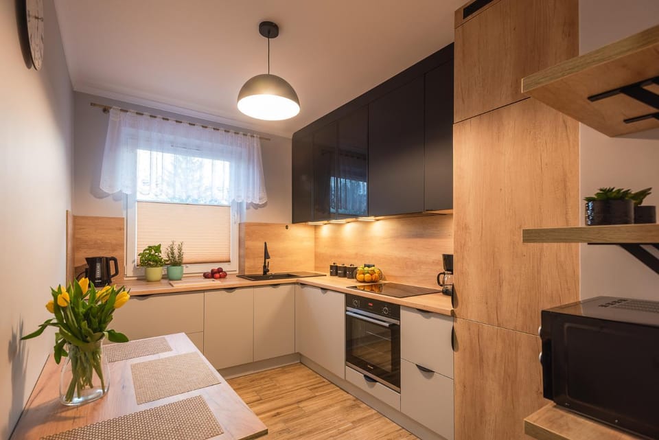Kitchen or kitchenette, dishwasher, minibar, stove