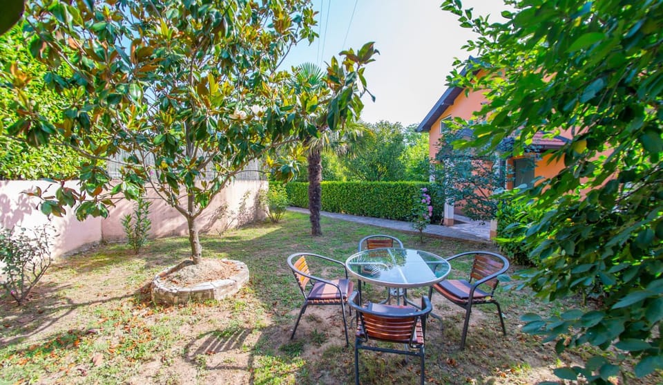 Patio, Garden