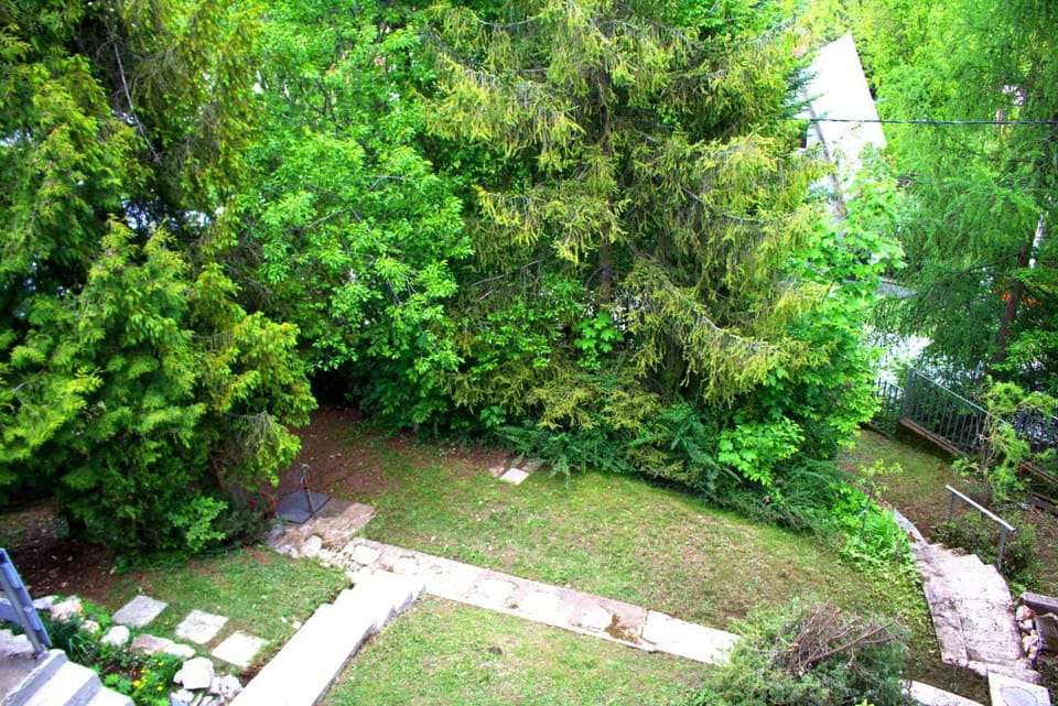 Garden, Garden view