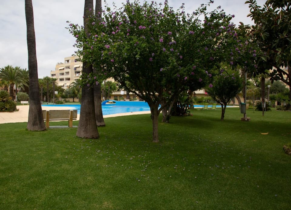 Garden, Swimming pool