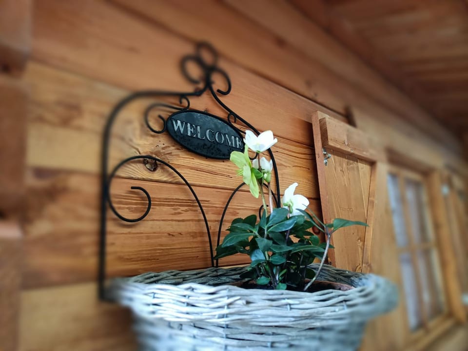 B&B Il Ghiro Bed and Breakfast in Emilia-Romagna