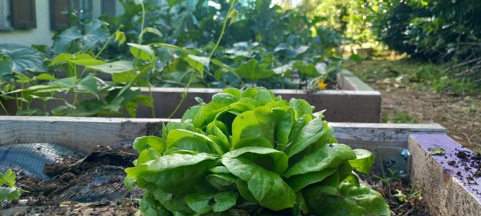 il larice d' oro Apartment hotel in Colico