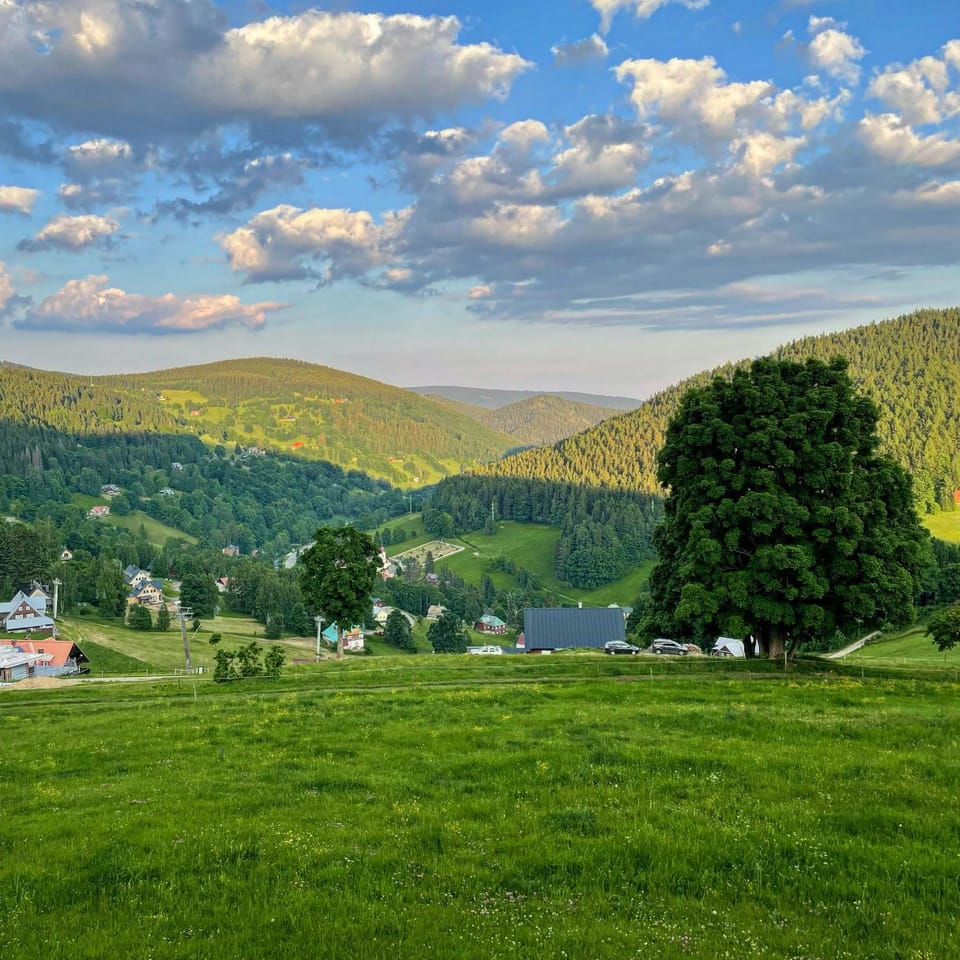 Natural landscape, Garden, Mountain view