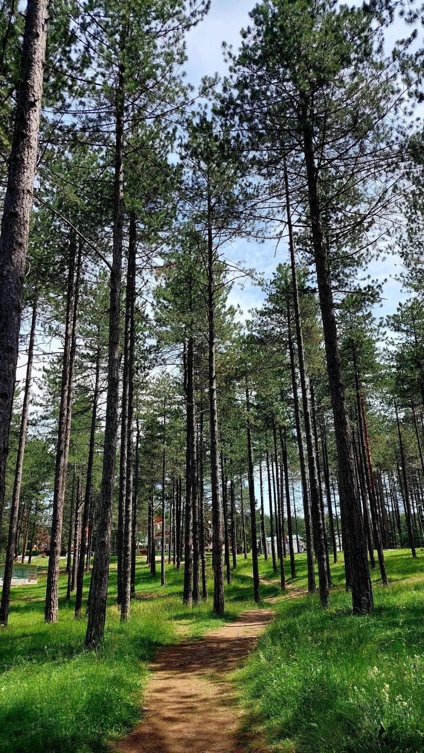 Natural landscape