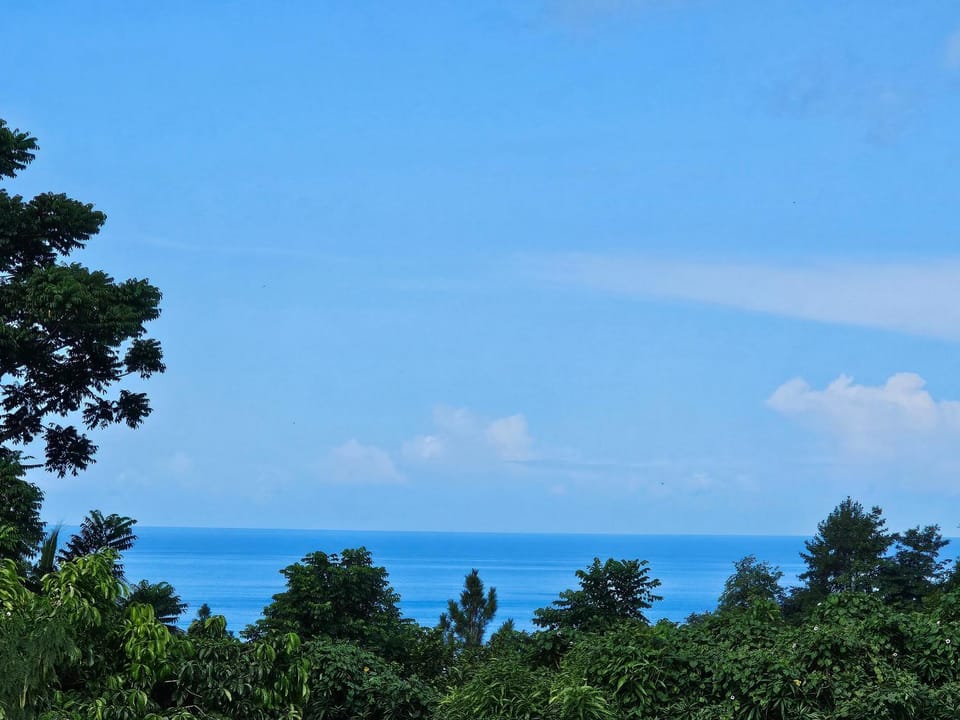Sea view