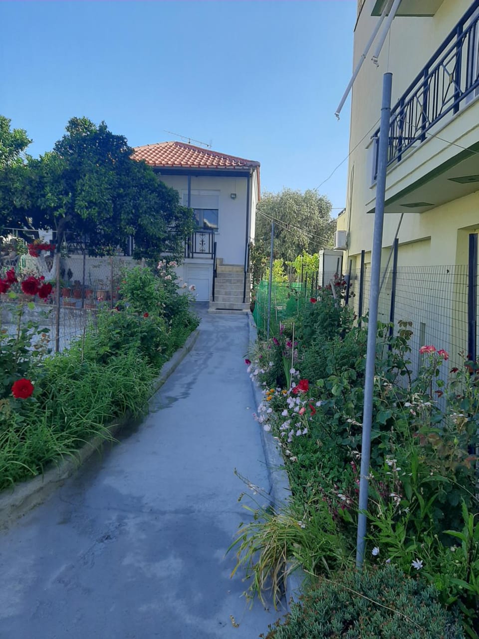 ANNAS COTTAGE Apartment in Thasos