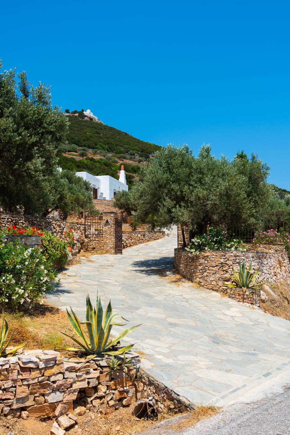 Property building, Natural landscape, Mountain view