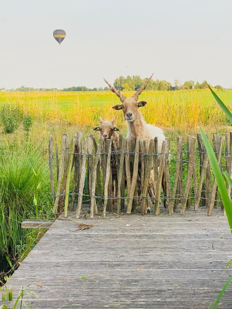 B&B De Beijersche Stee, Logies aan de Waterkant House in South Holland (province)