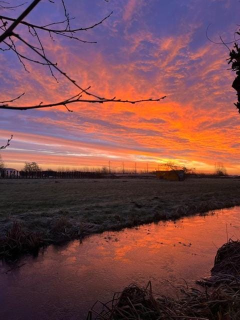 Natural landscape, Garden, River view, Sunrise