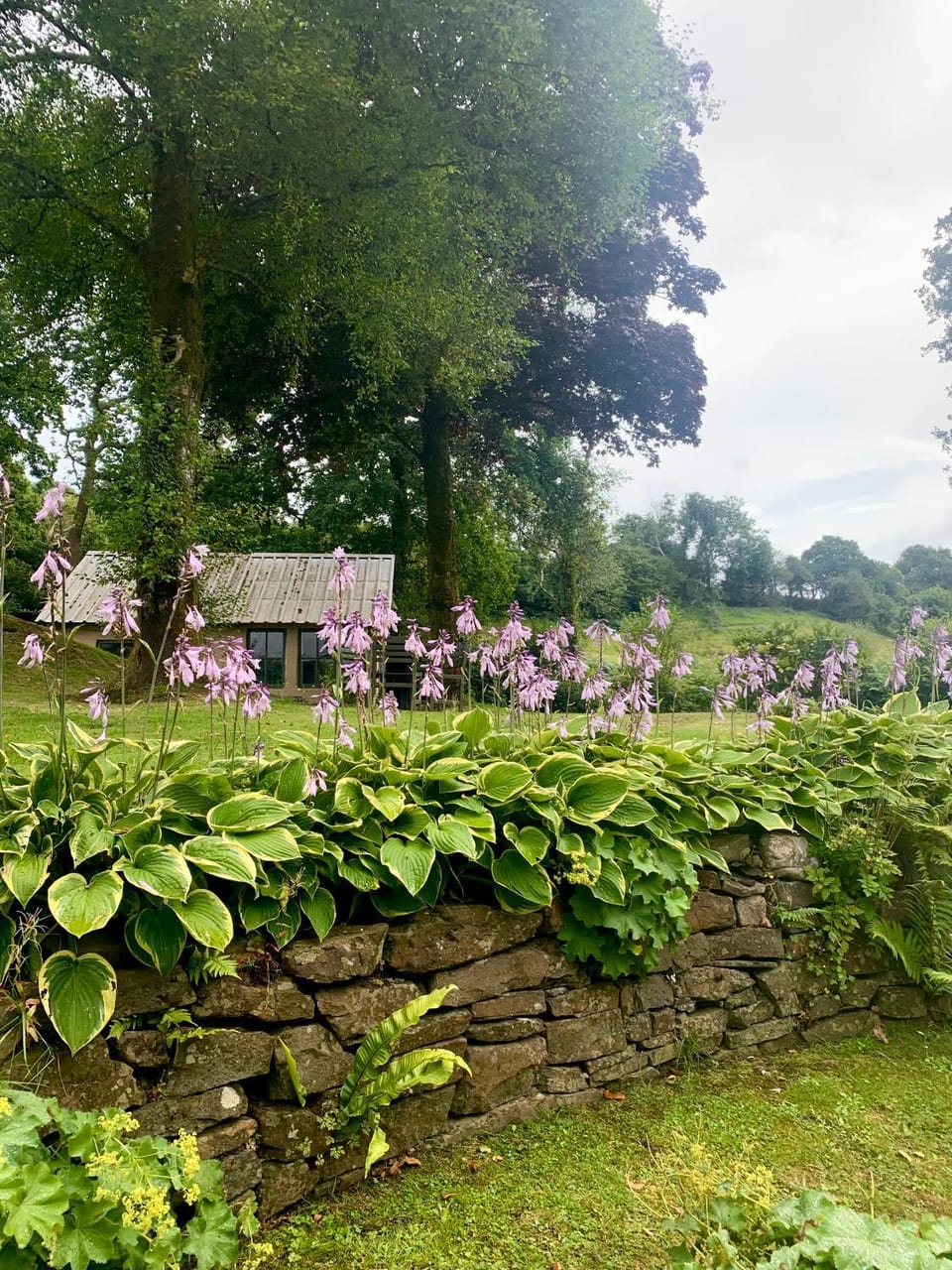 Garden view