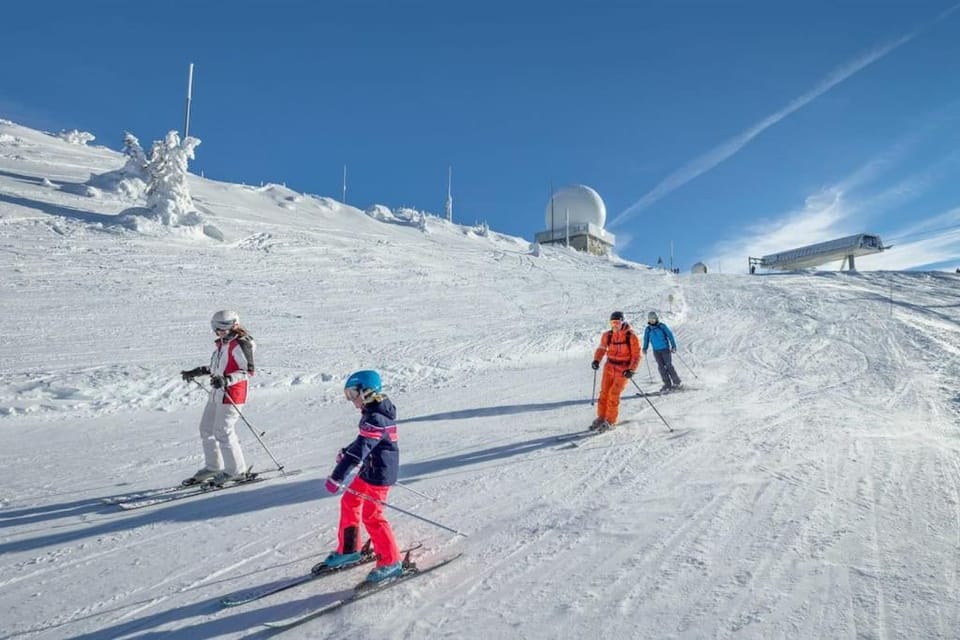 Winter, Skiing, group of guests