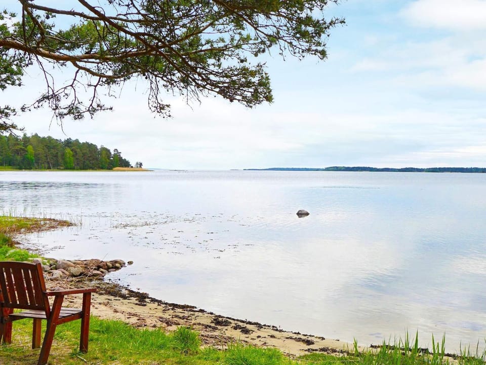 Lake view