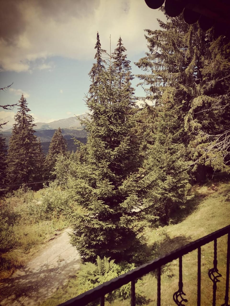 Mountain view
