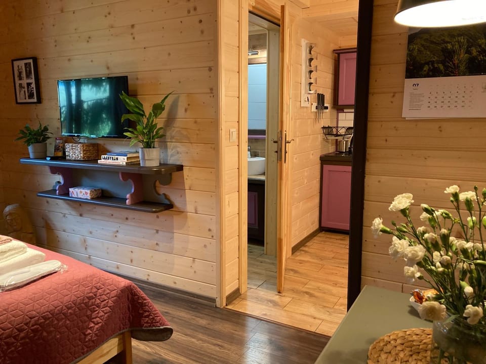 TV and multimedia, furniture, locker