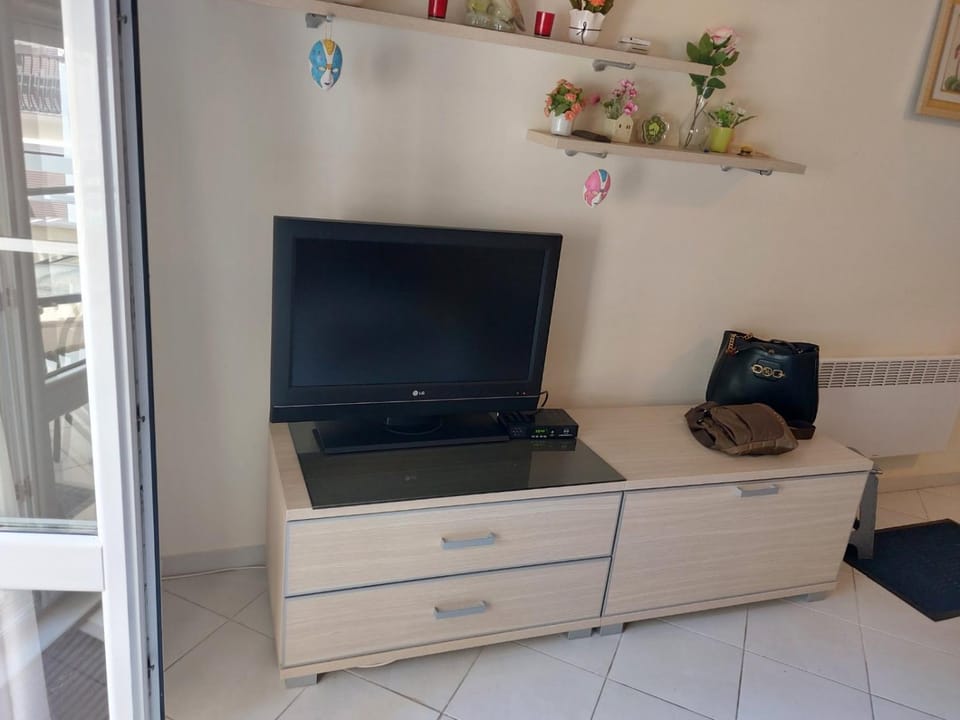 Communal lounge/ TV room, TV and multimedia