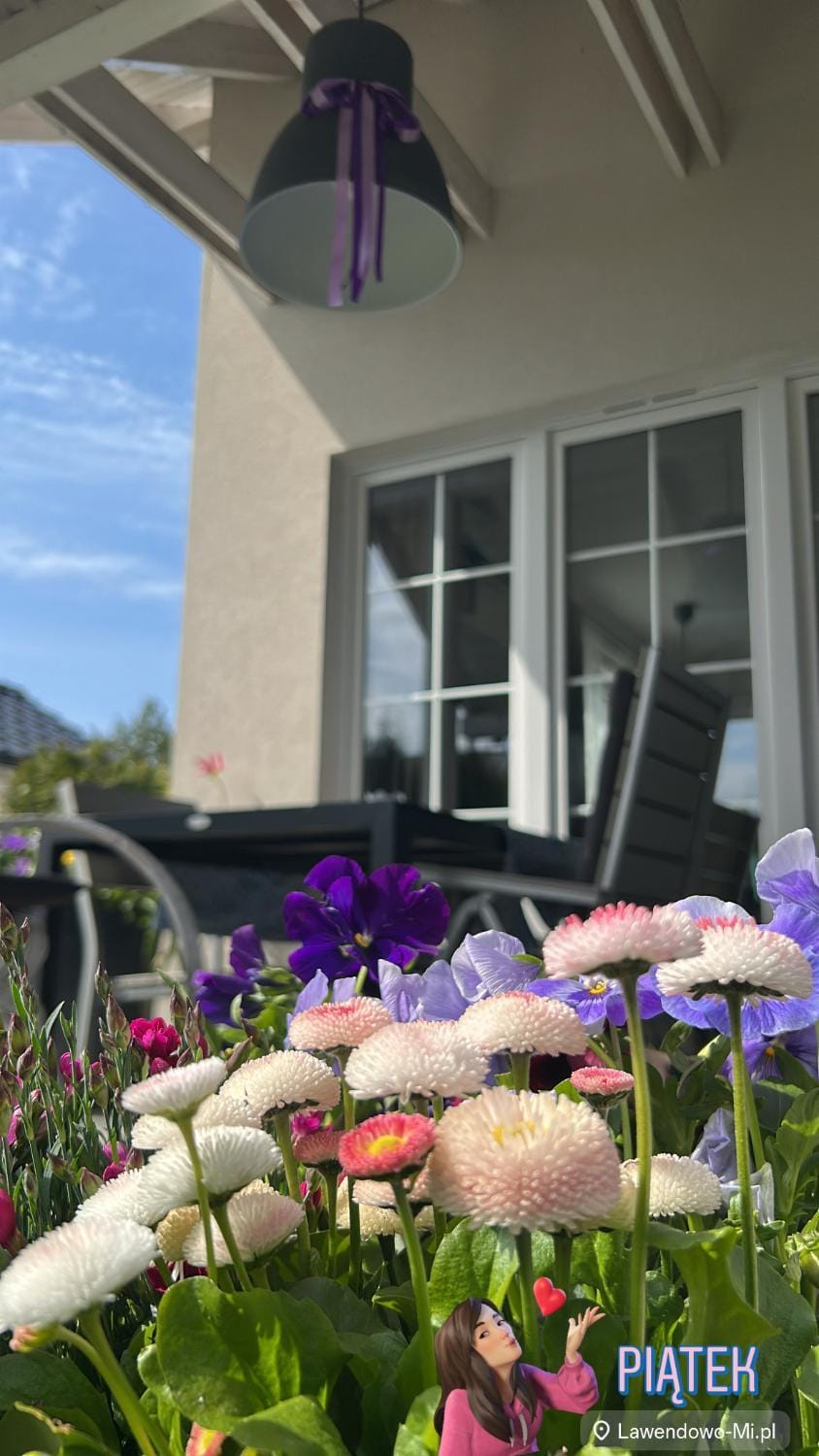 Rodzinne miejsce House in Pomeranian Voivodeship