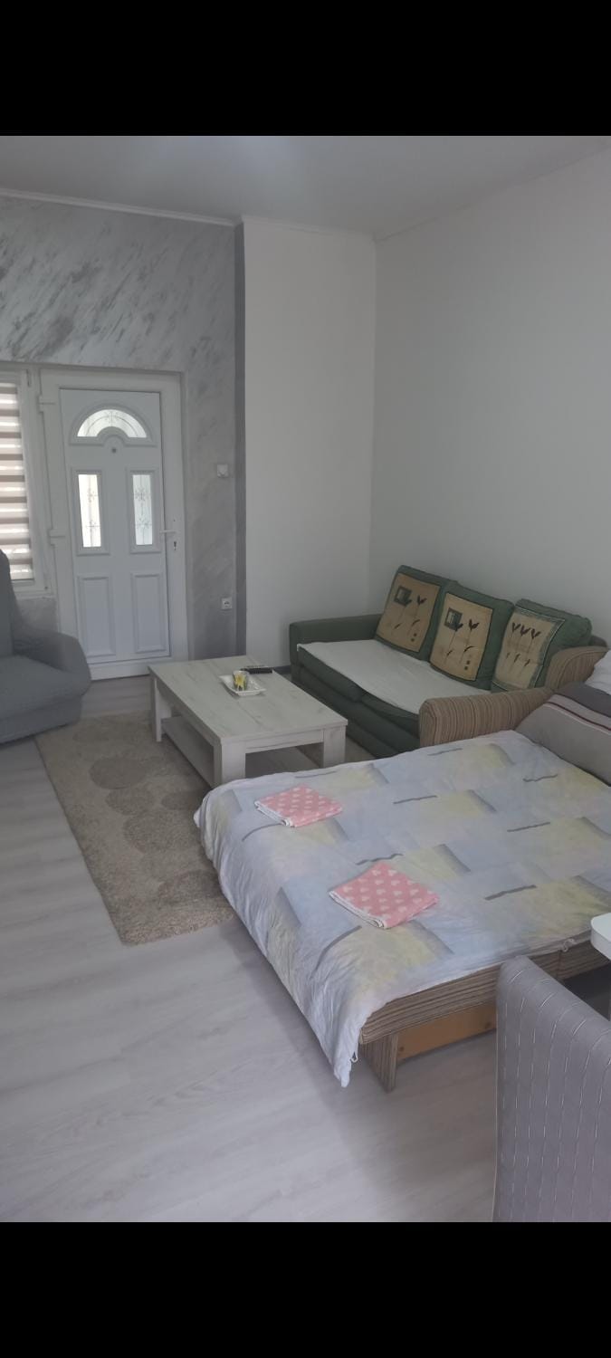 Apartman LJILJANA BELA CRKVA Apartment in Vojvodina